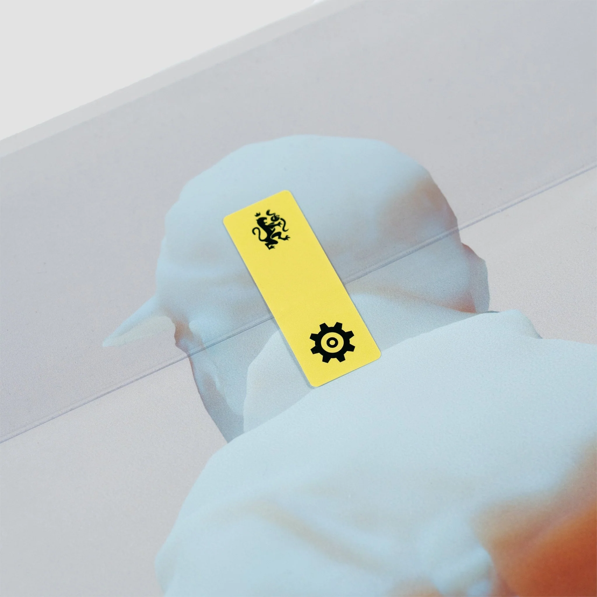 Miniatura 9